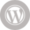 Icon wordpress