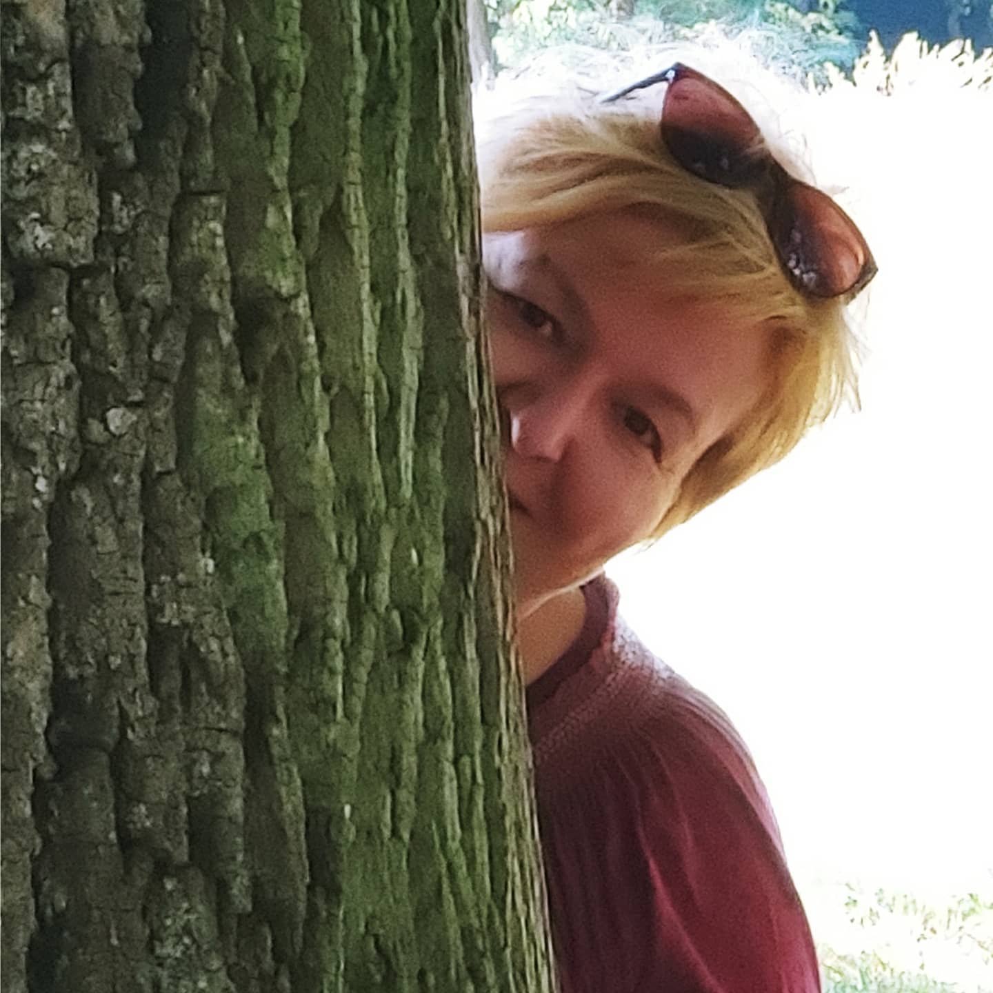 Susel baum