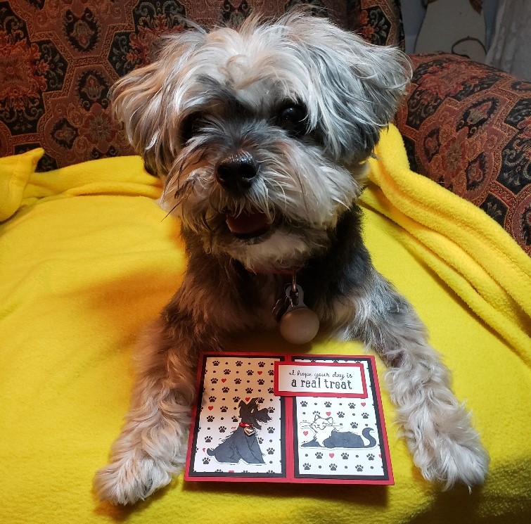 Kirby with his picks 1