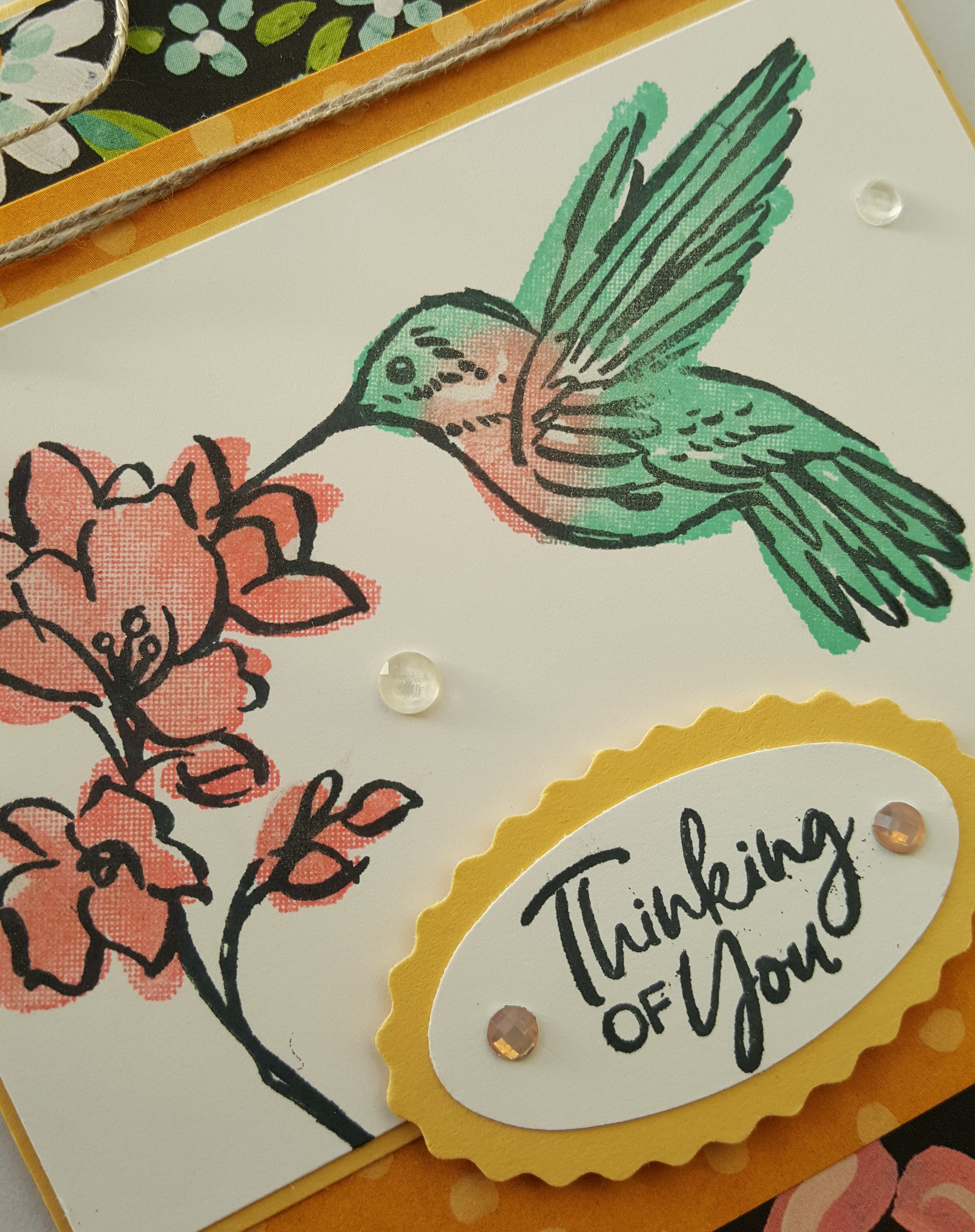 Hummingbird 1b