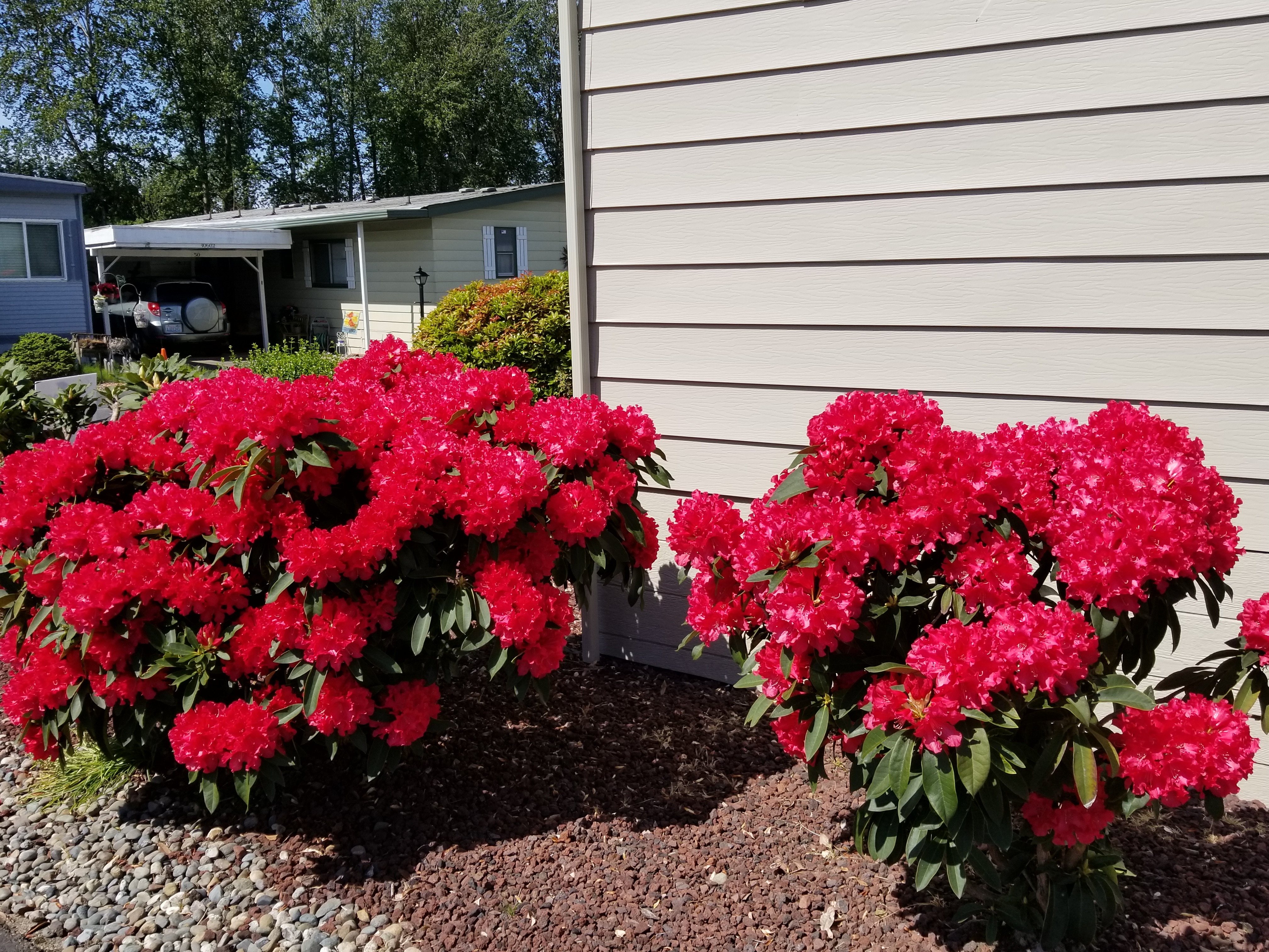 20200501 112625