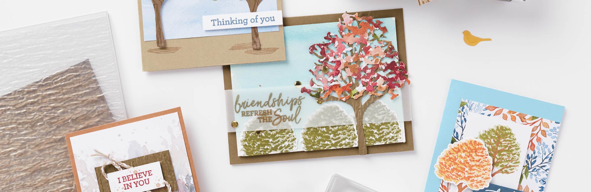 05.04.21 dbws header bote ac golive