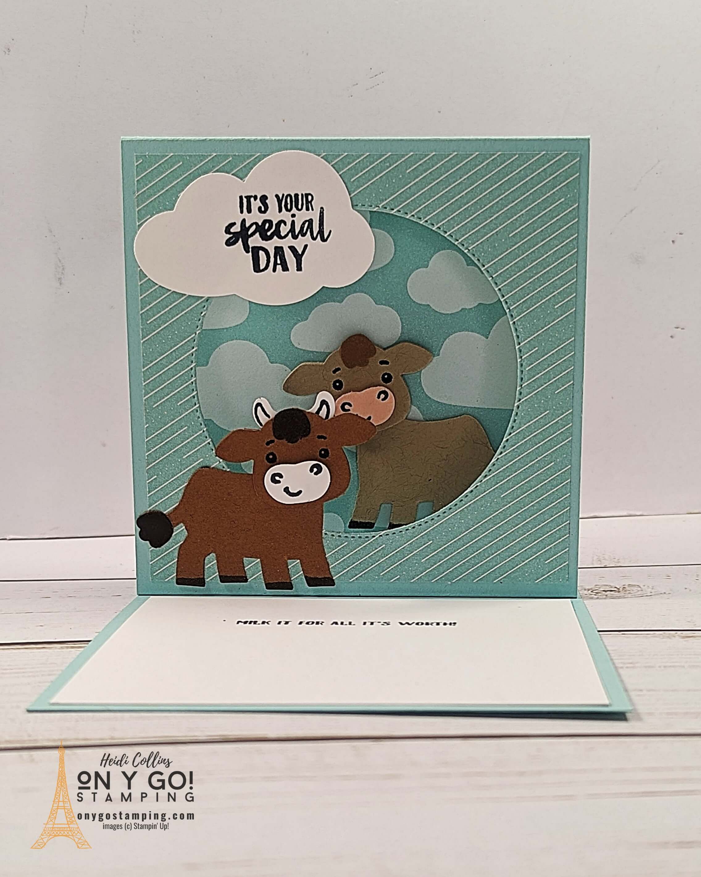 Fun fold shadow box cows open