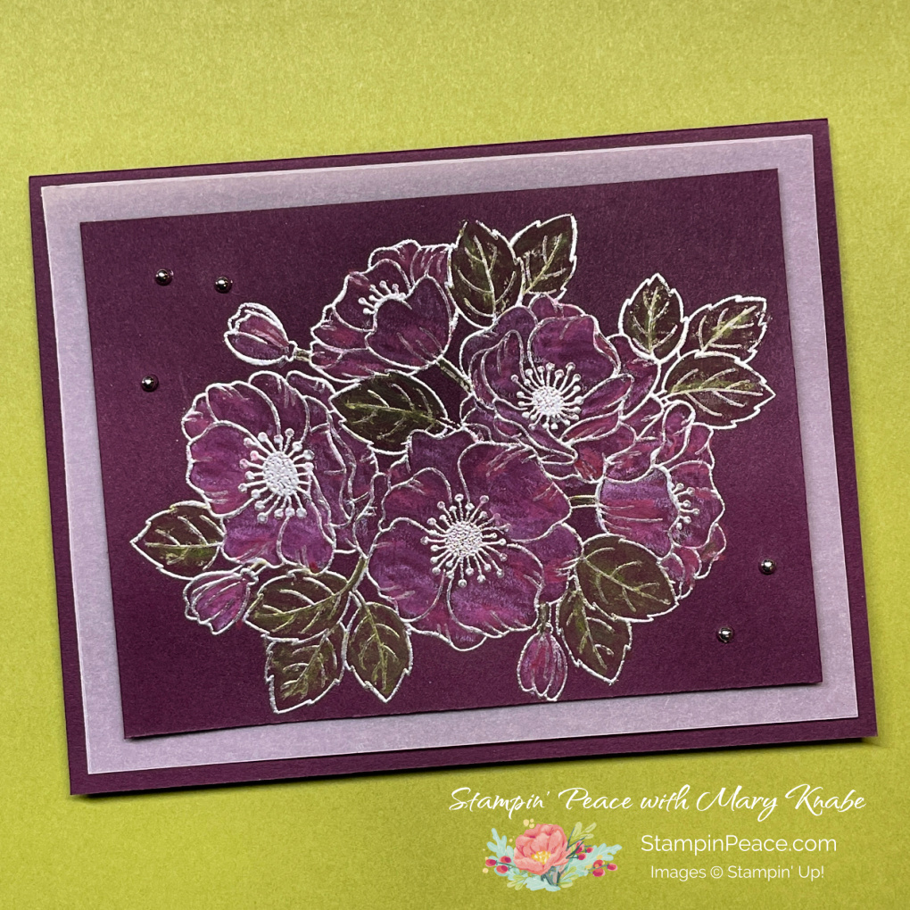 Stampin  up  enduring beauty stamp set   mary knabe  4 