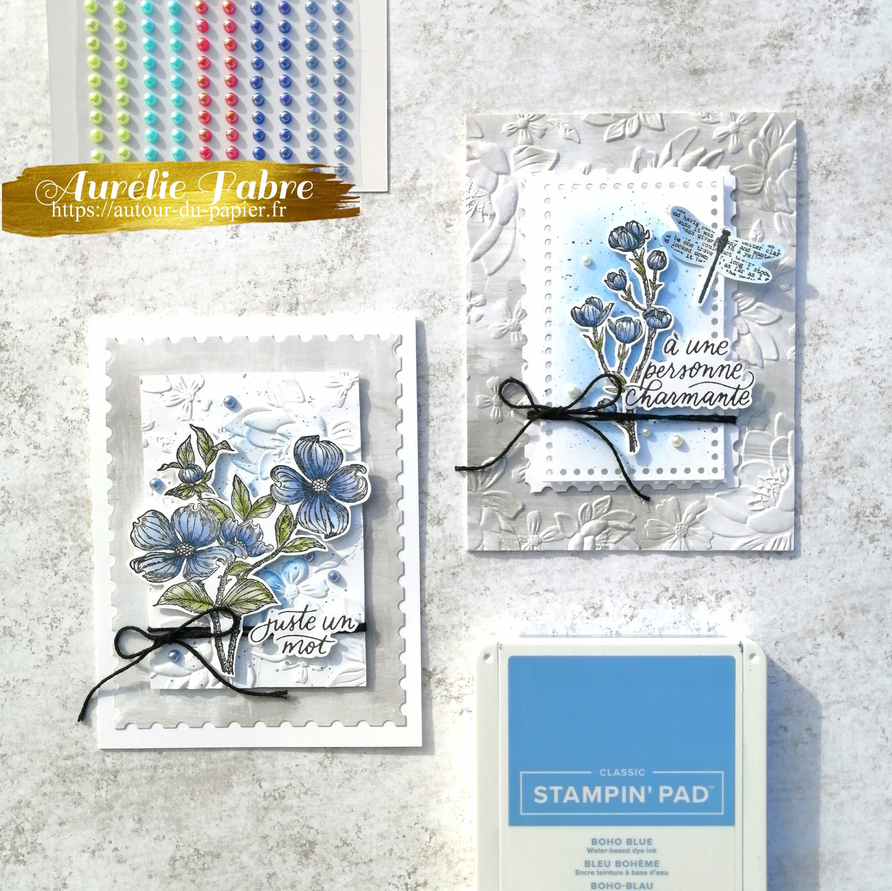 Carte 13 et 14 detailed dogwood logo