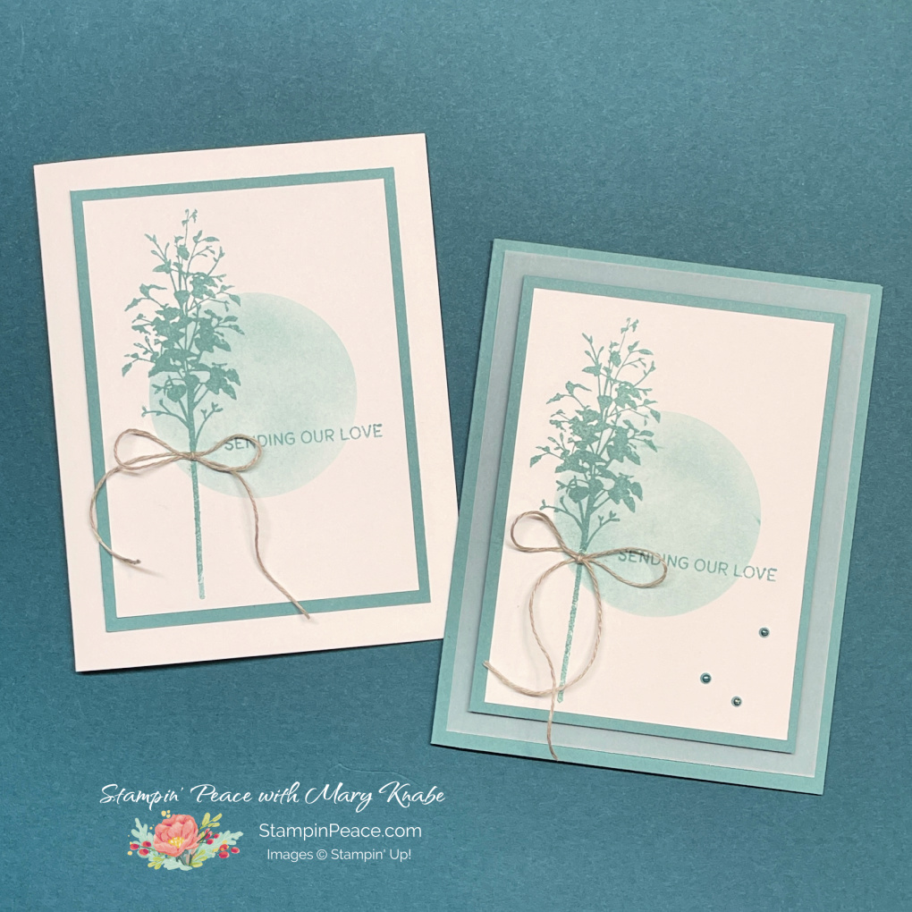 Stampin  up  delicate forest stamp set   mary knabe