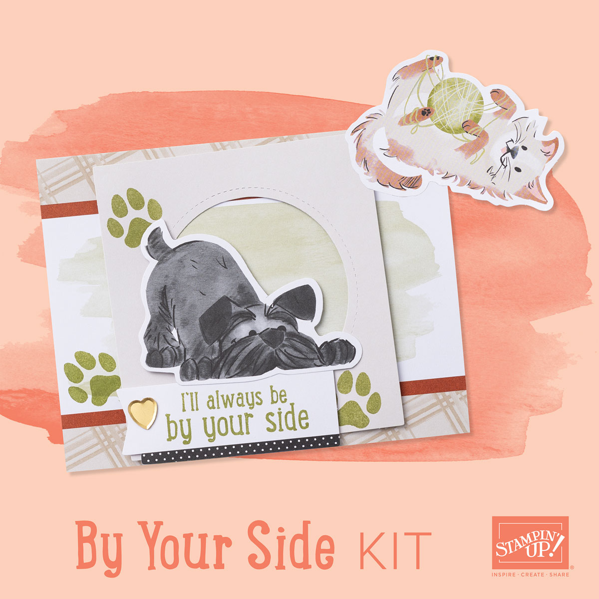 Dbws mktl sqr2 na 0424 kits