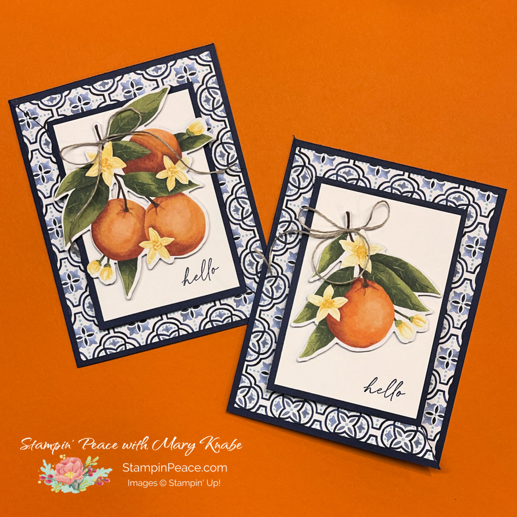 Stampin  up  citrus blooms stamp set   mediterranean blooms dsp   mary knabe