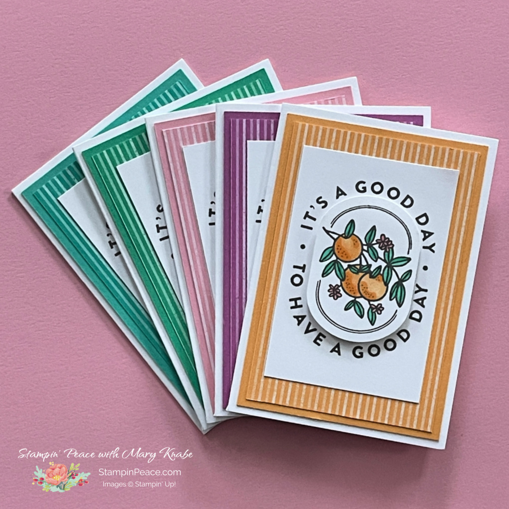 Stampin  up   filled with happiness stamp set   2024   2026 in color dsp   mary knabe