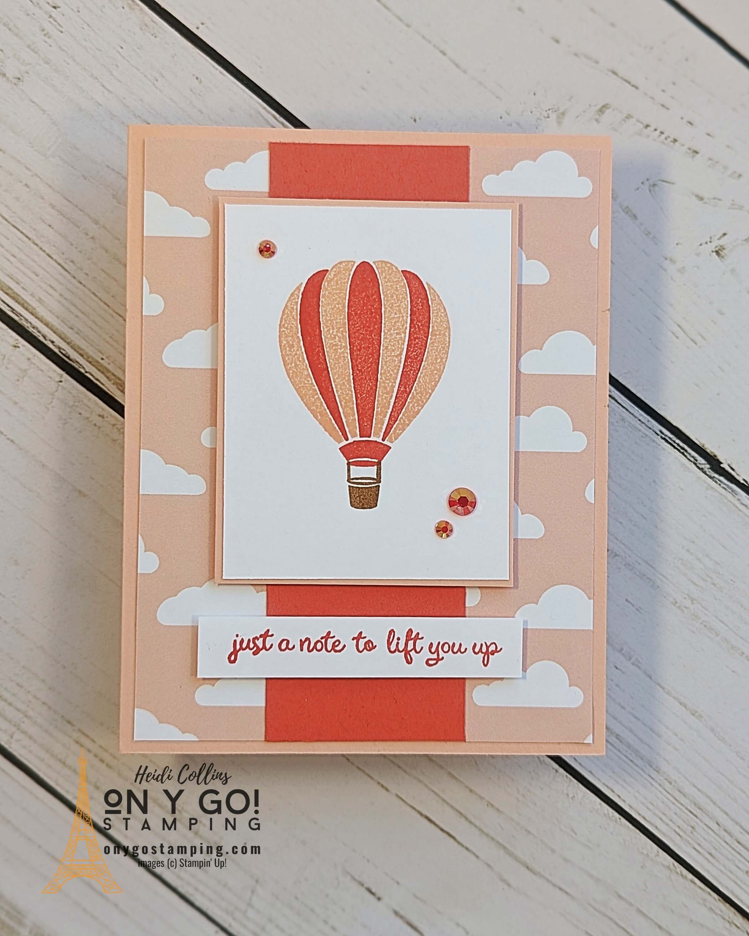 Ms 4.9.24 hot air balloon