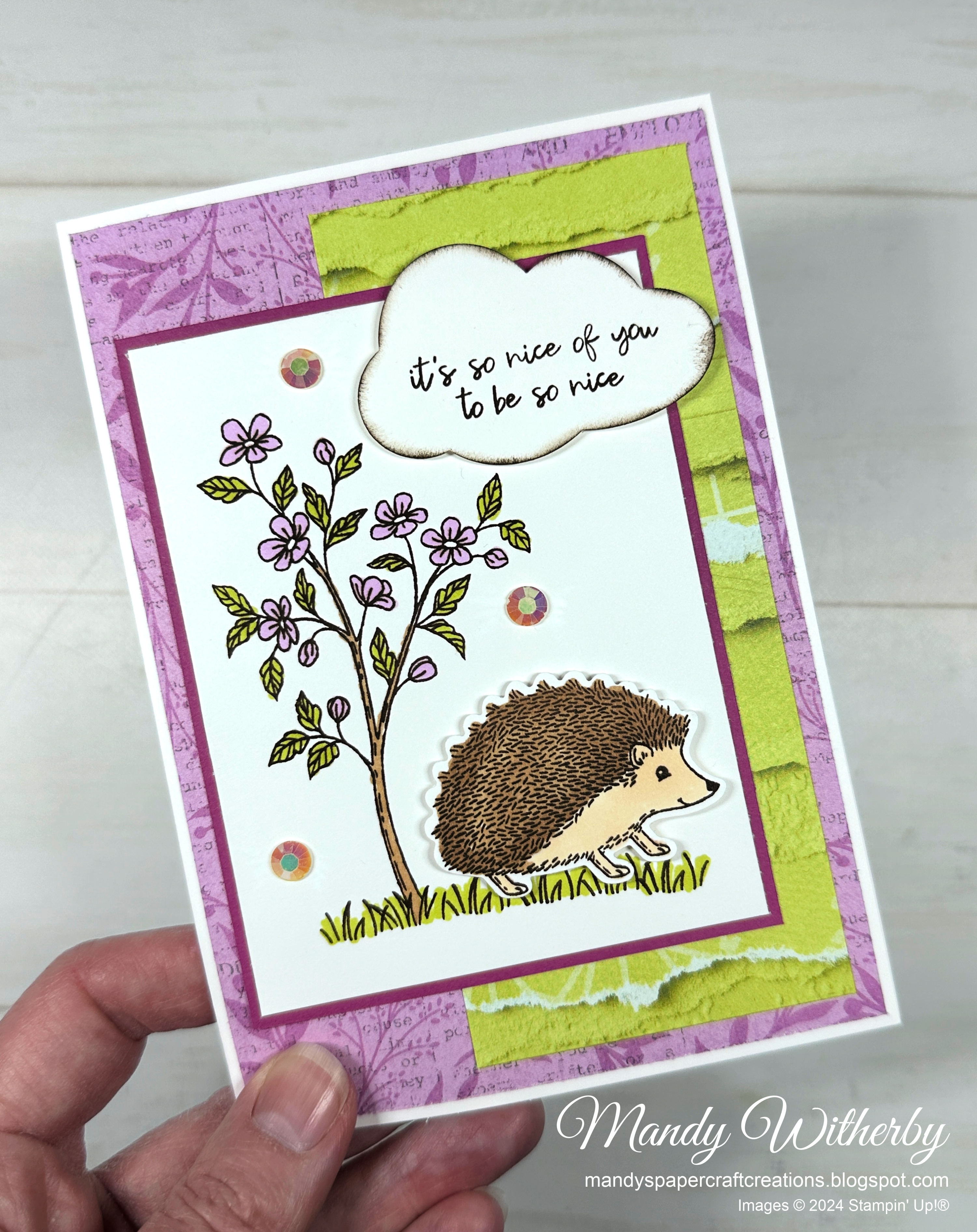 Cute hedgehog card