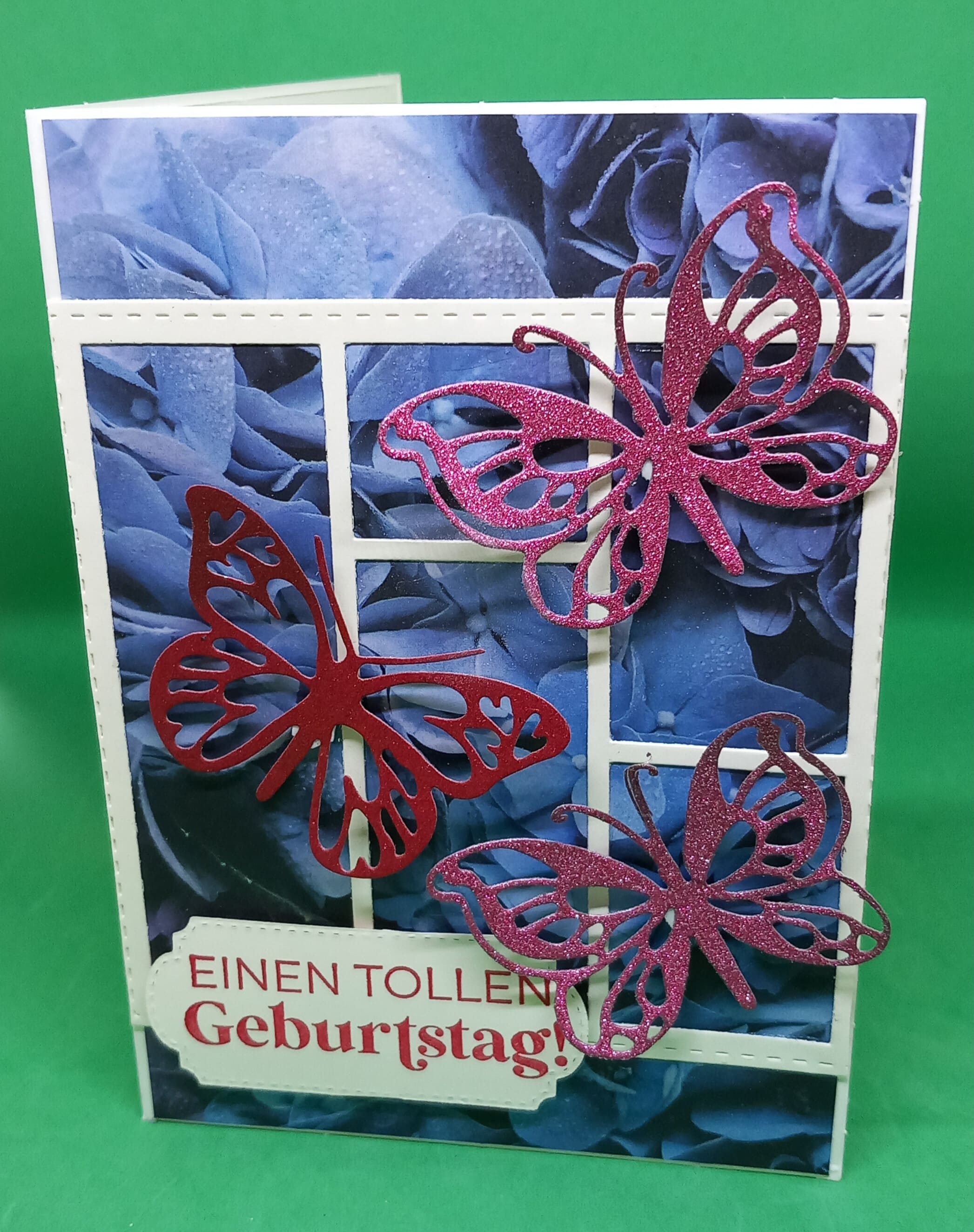 Brillante schmetterlinge