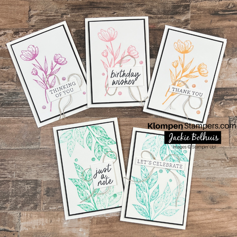 Spotlight on nature sip cards