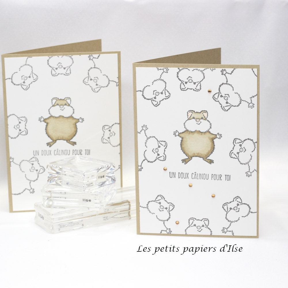 Cs hamster vignette