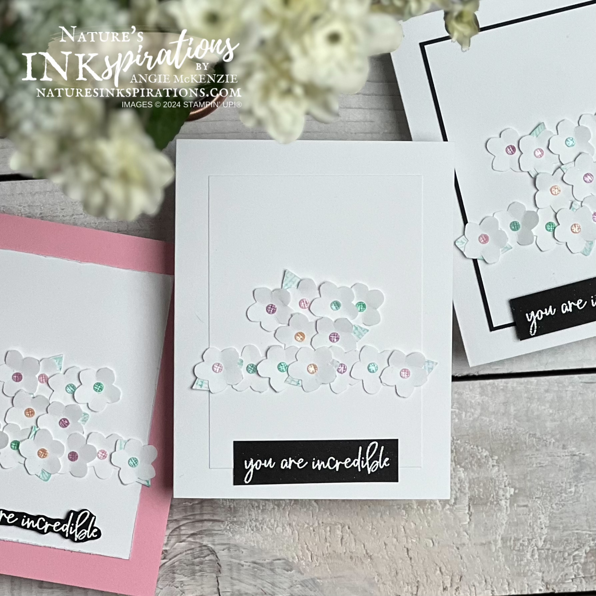 Stampin  up  petal park any occasion card   may 2024