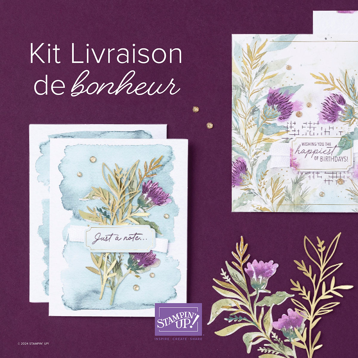 Dbws mktl sqr2 fr 0624 kits collection