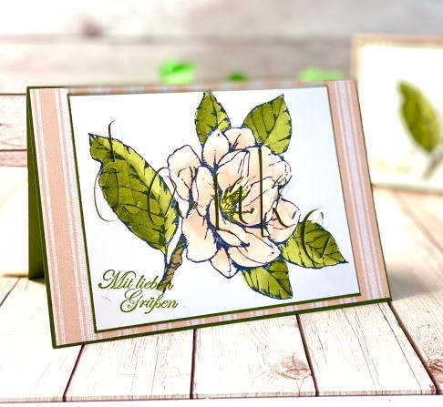 Spotlight die cutting dbws