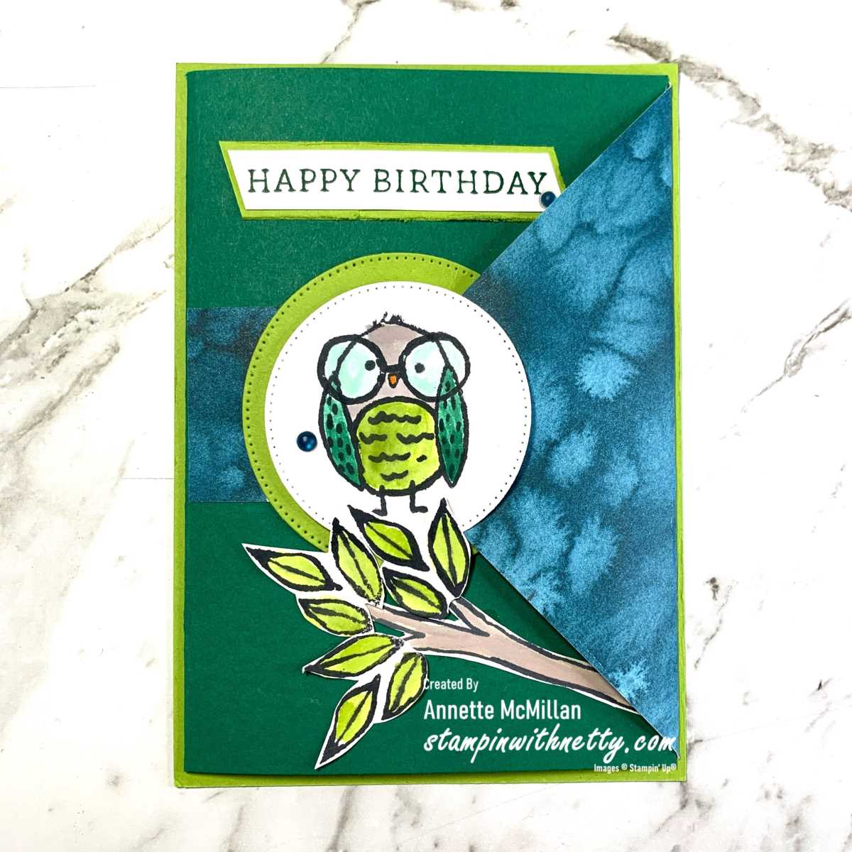 Birdseyeviewcard stampinup annettemcmillan 05052024