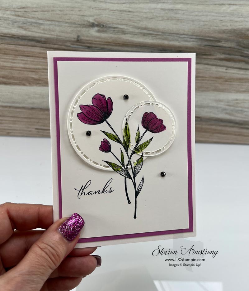 Spotlight on nature 5