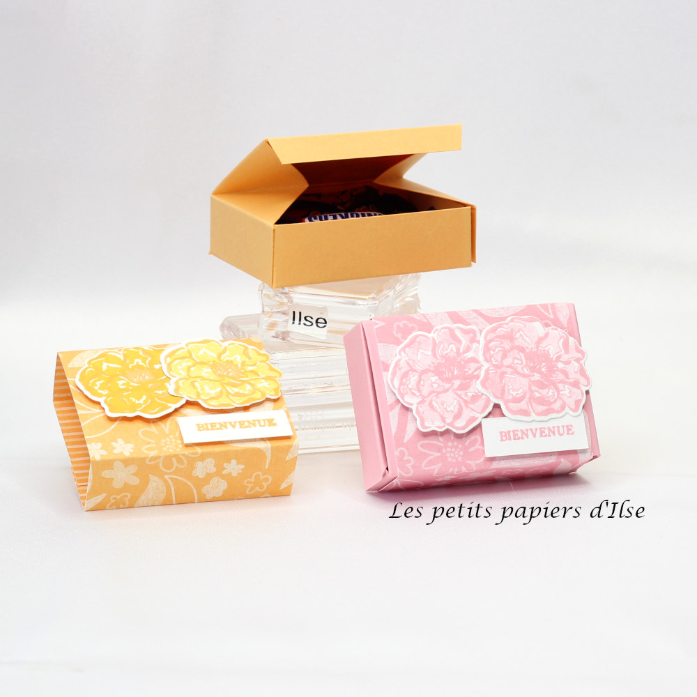 Boite jpo vignette