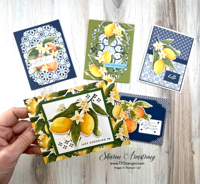 Citrus blooms 6