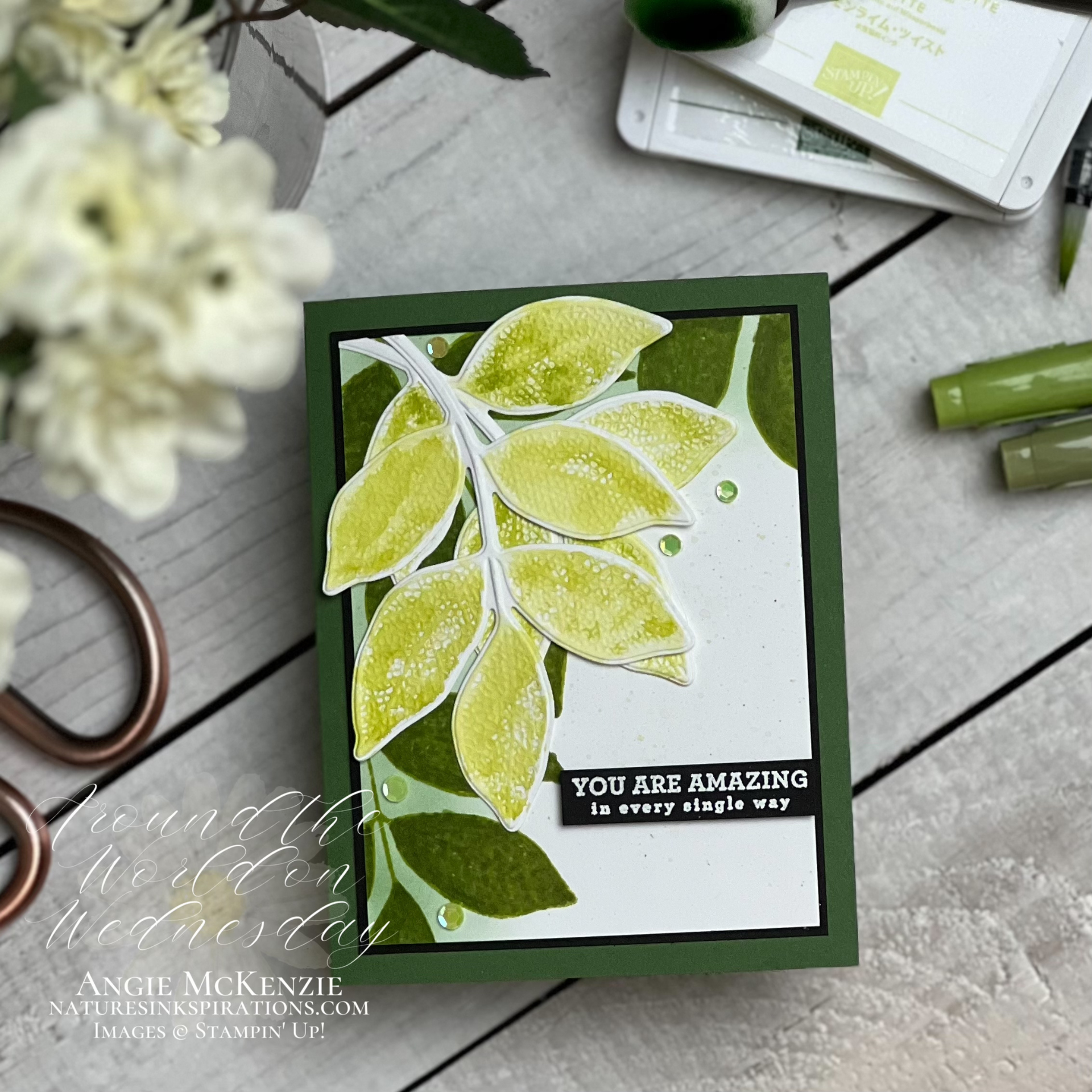 Stampin  up  changing leaves thank you   june 2024  4 