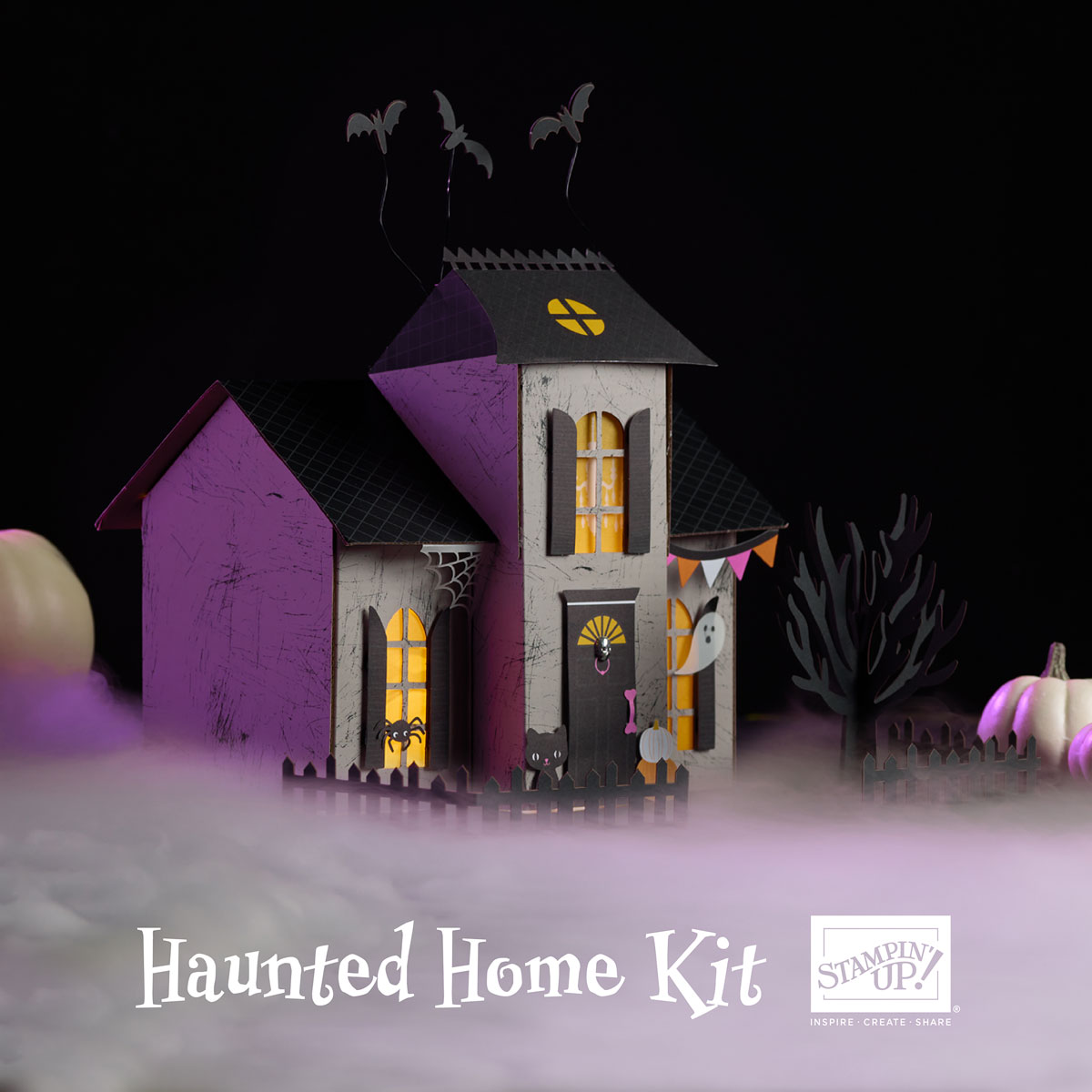 Dbws mktl sqr1 all en 0824 kits promotion