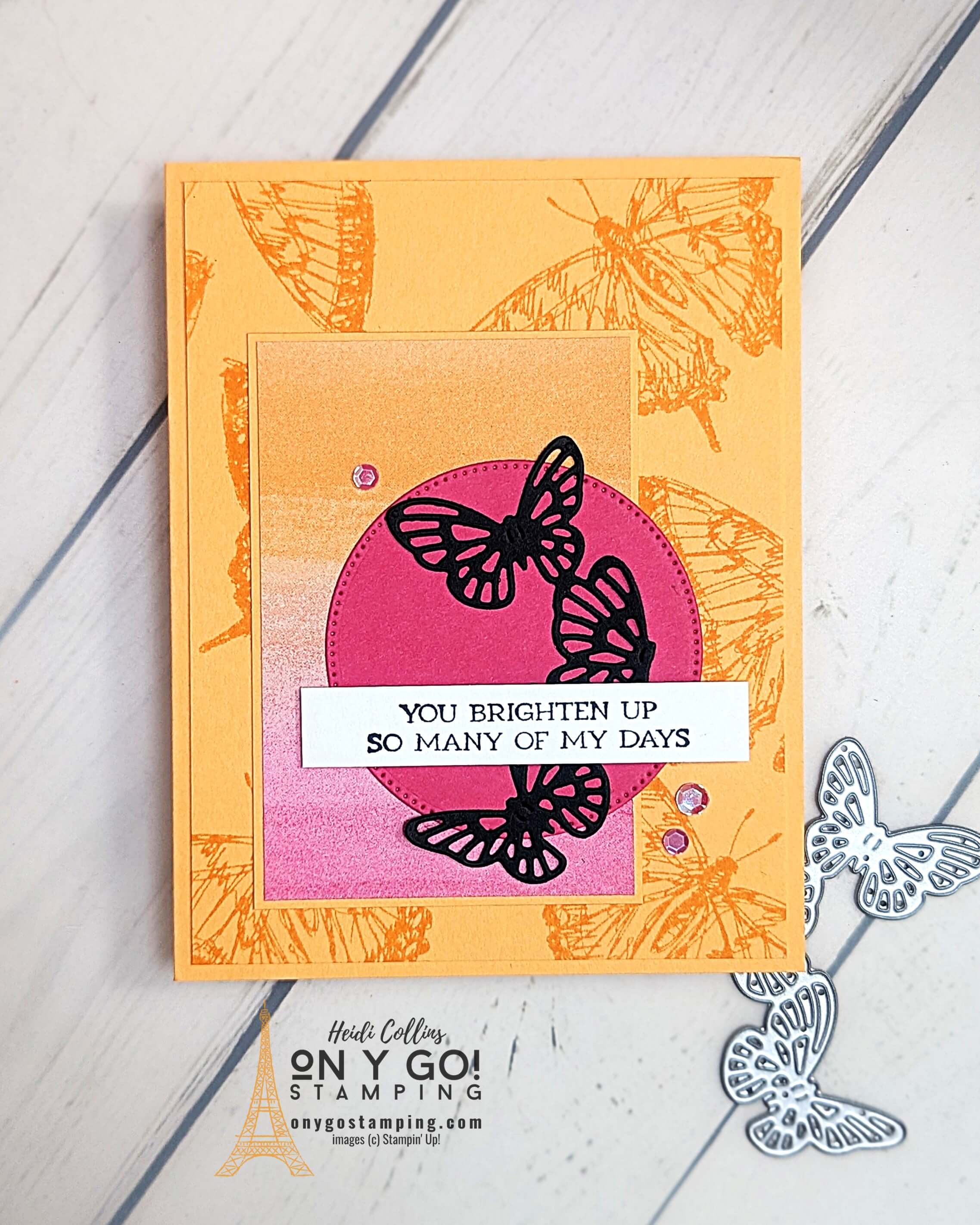 8.13.24 ms sketched butterflies