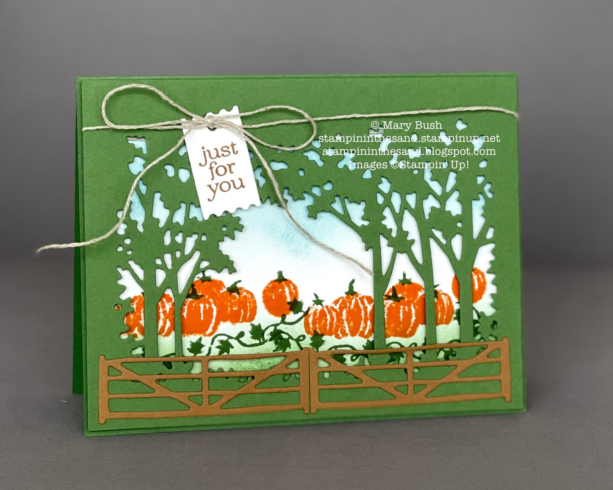 Scenicpumpkinpatchinagrassygrove
