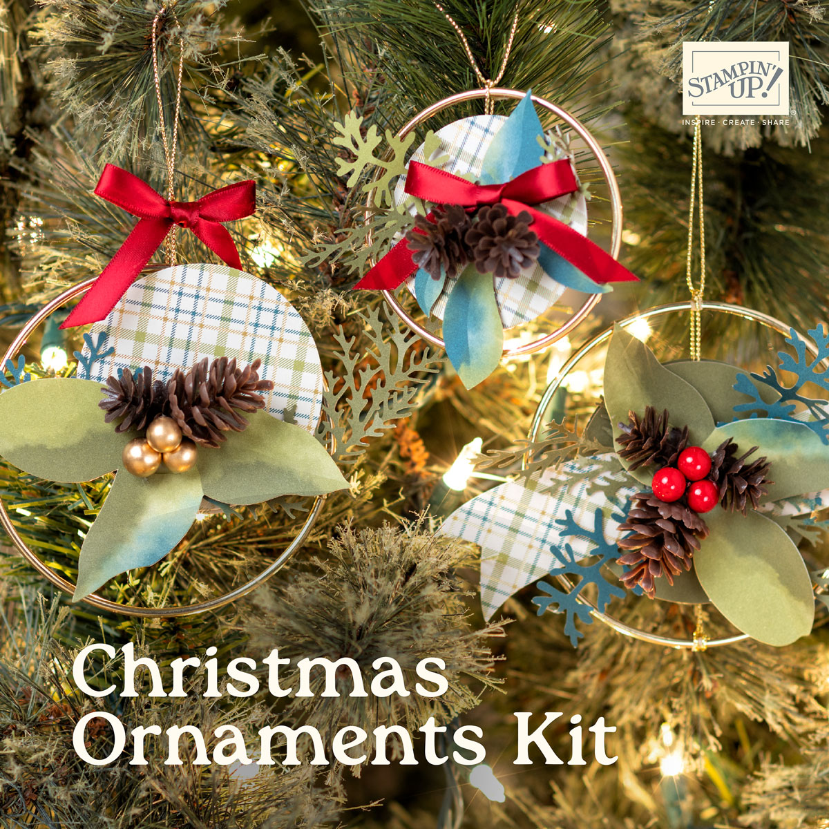 Dbws mktl sqr2 en 0924 september kits