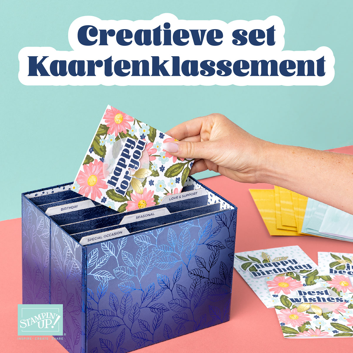 Dbws mktl sqr1 nl 0924 september kits