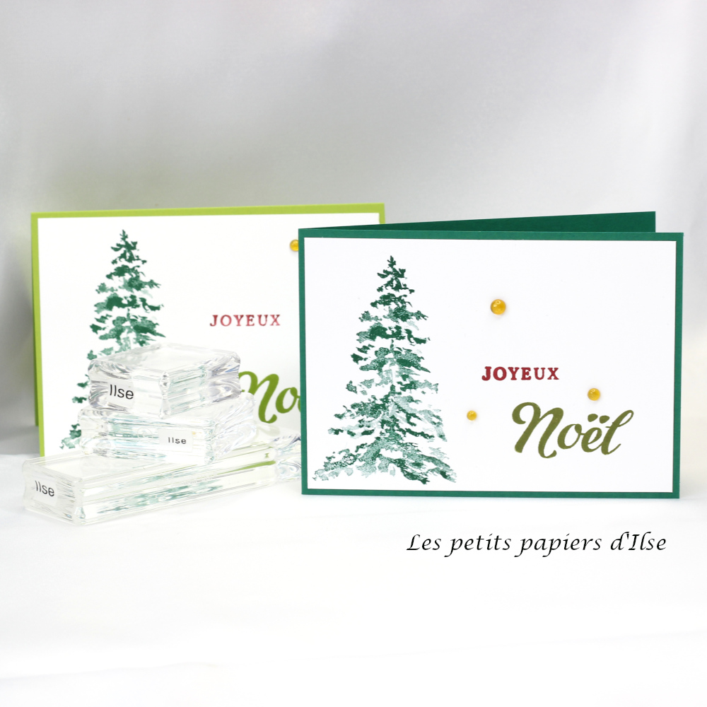 Cs evergreens vignette