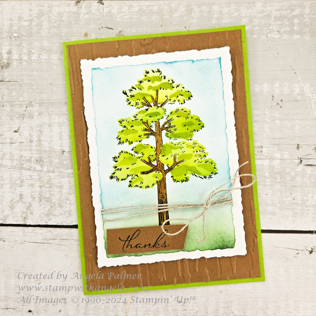 Frosted forest card for facebook live