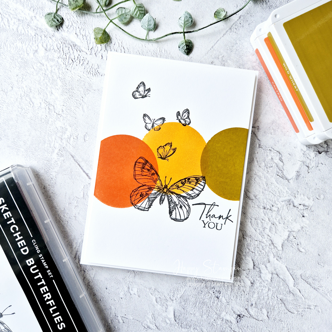 Stampin up   happy stampin   inspiratie en verkoop   sketched butterflies