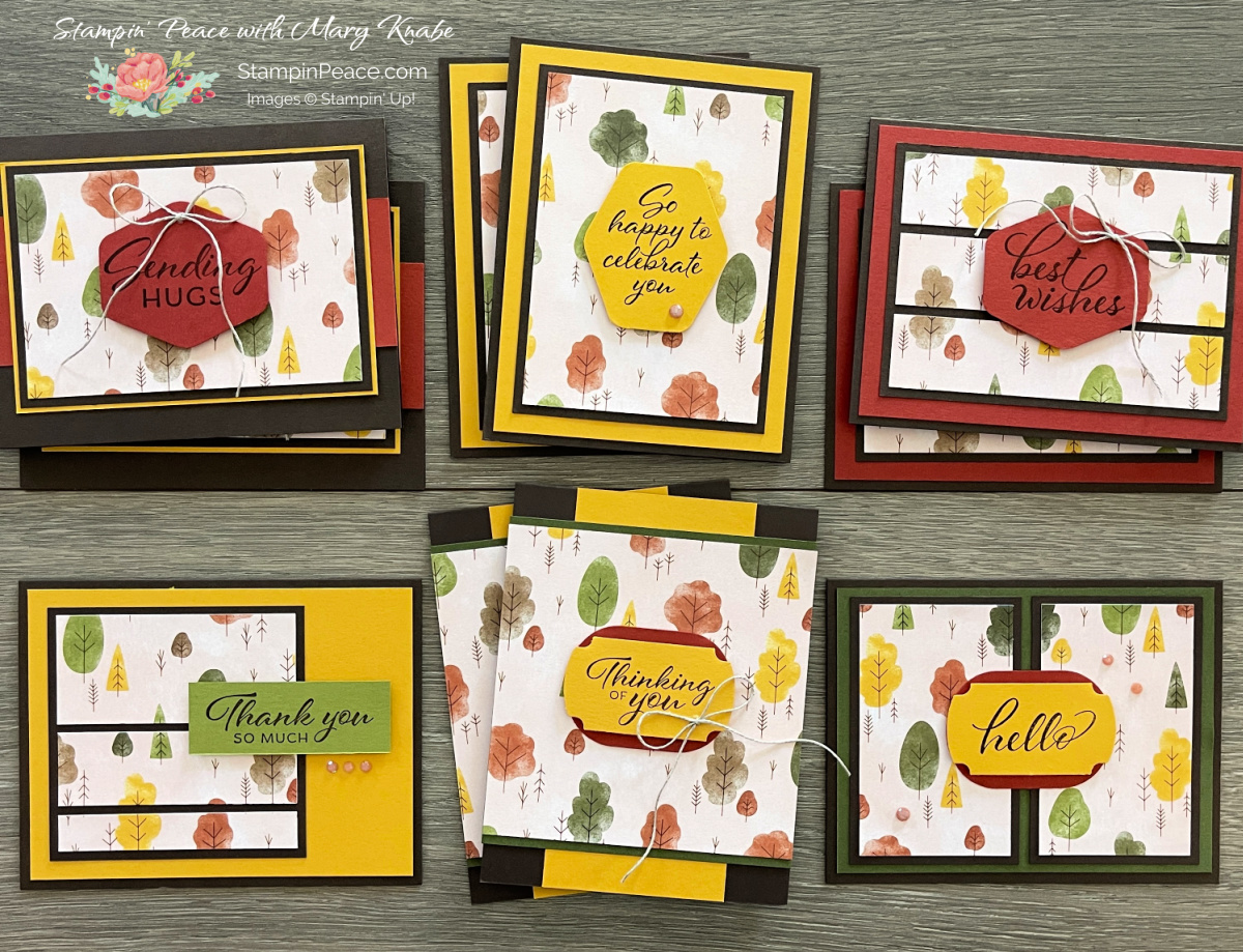 Stampin  up  sweet days osw   mary knabe