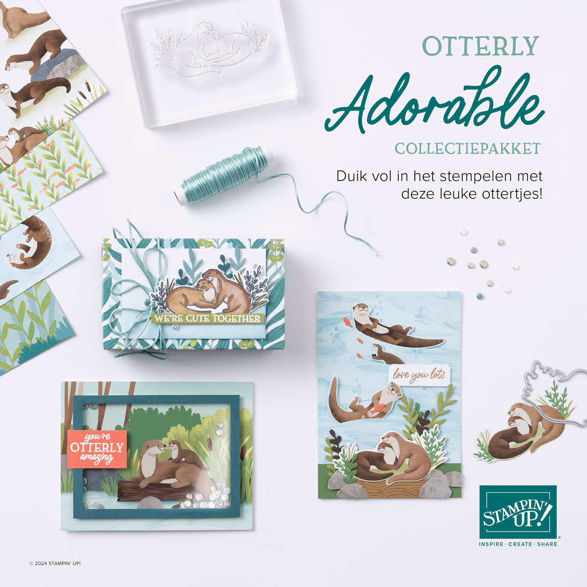 Dbws mktl sqr nl nl 1124 online exclusives preorder