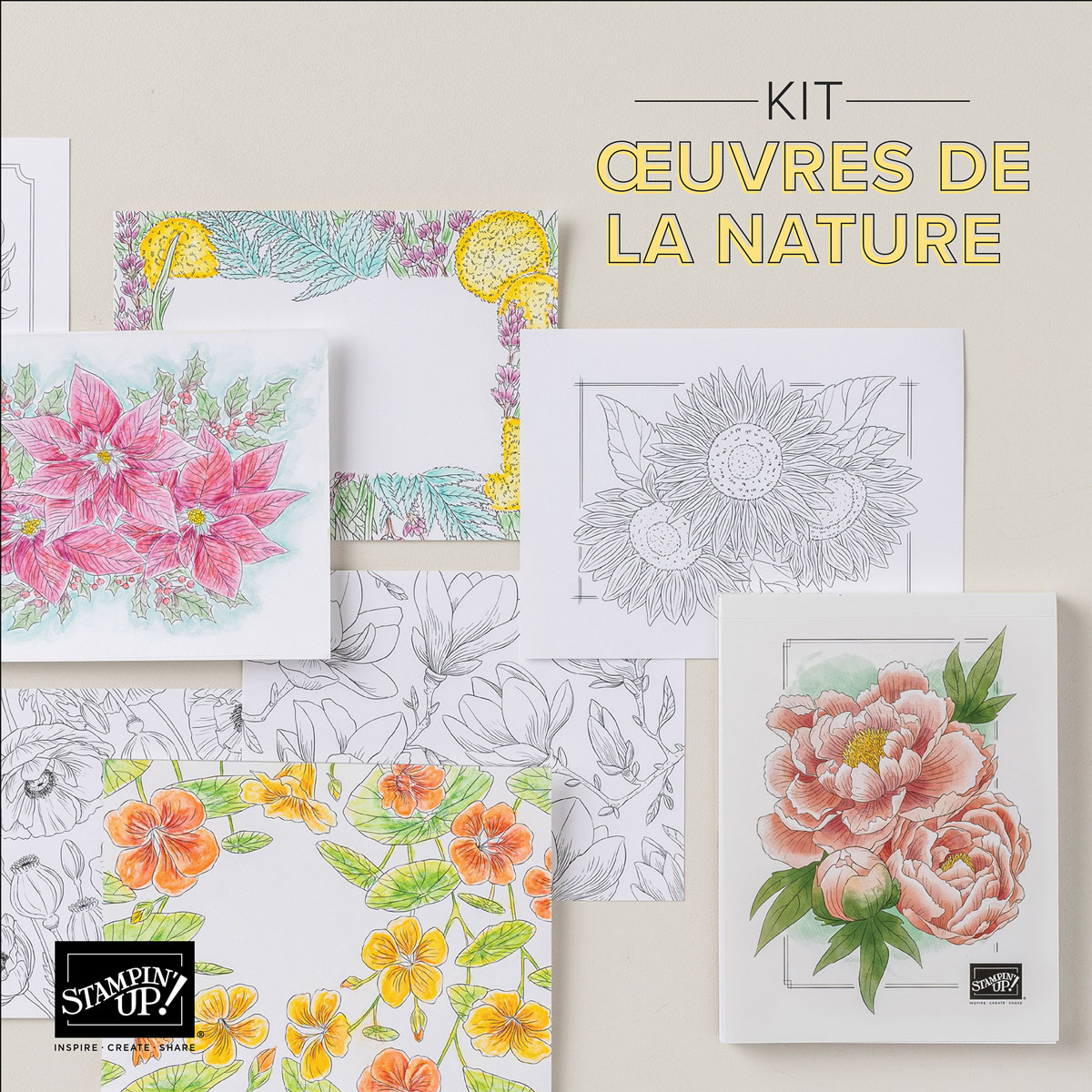 Dbws mktl sqr1 eu fr 1124 product release natures paintings