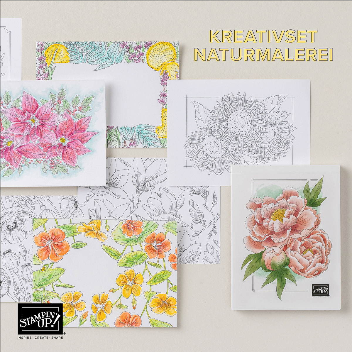 Dbws mktl sqr1 de de 1124 product release natures paintings