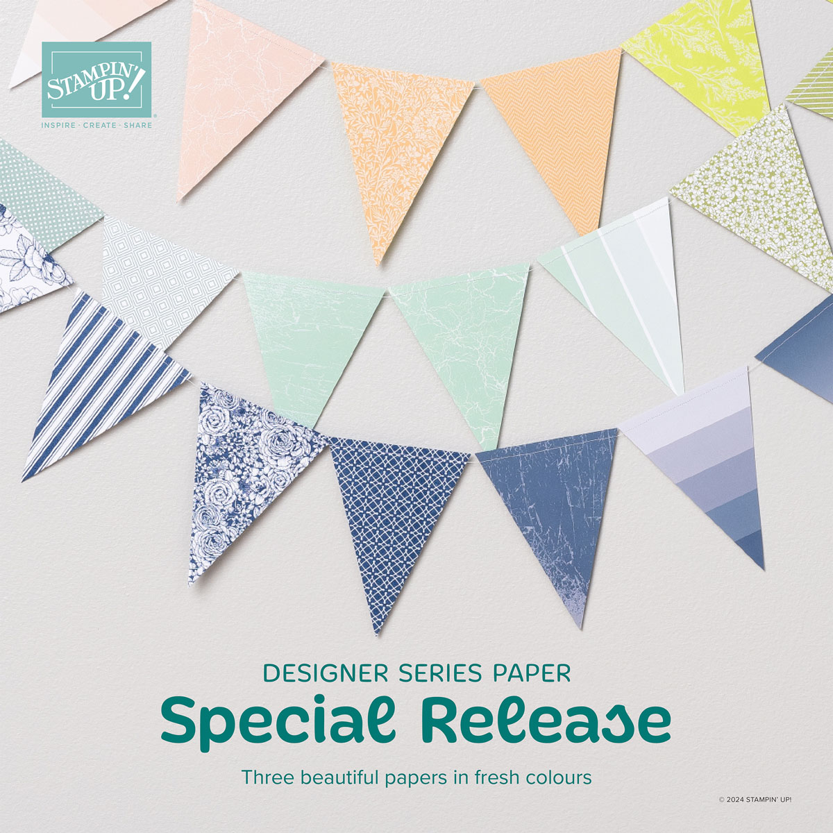 Dbws mktl sqr ca en 1224 dsp special release