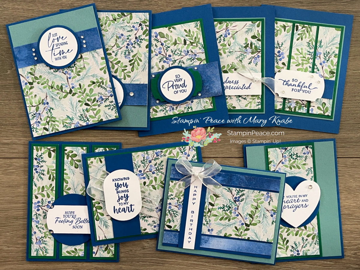 Stampin  up  so sincere stamp set   winter meadow dsp   mary knabe