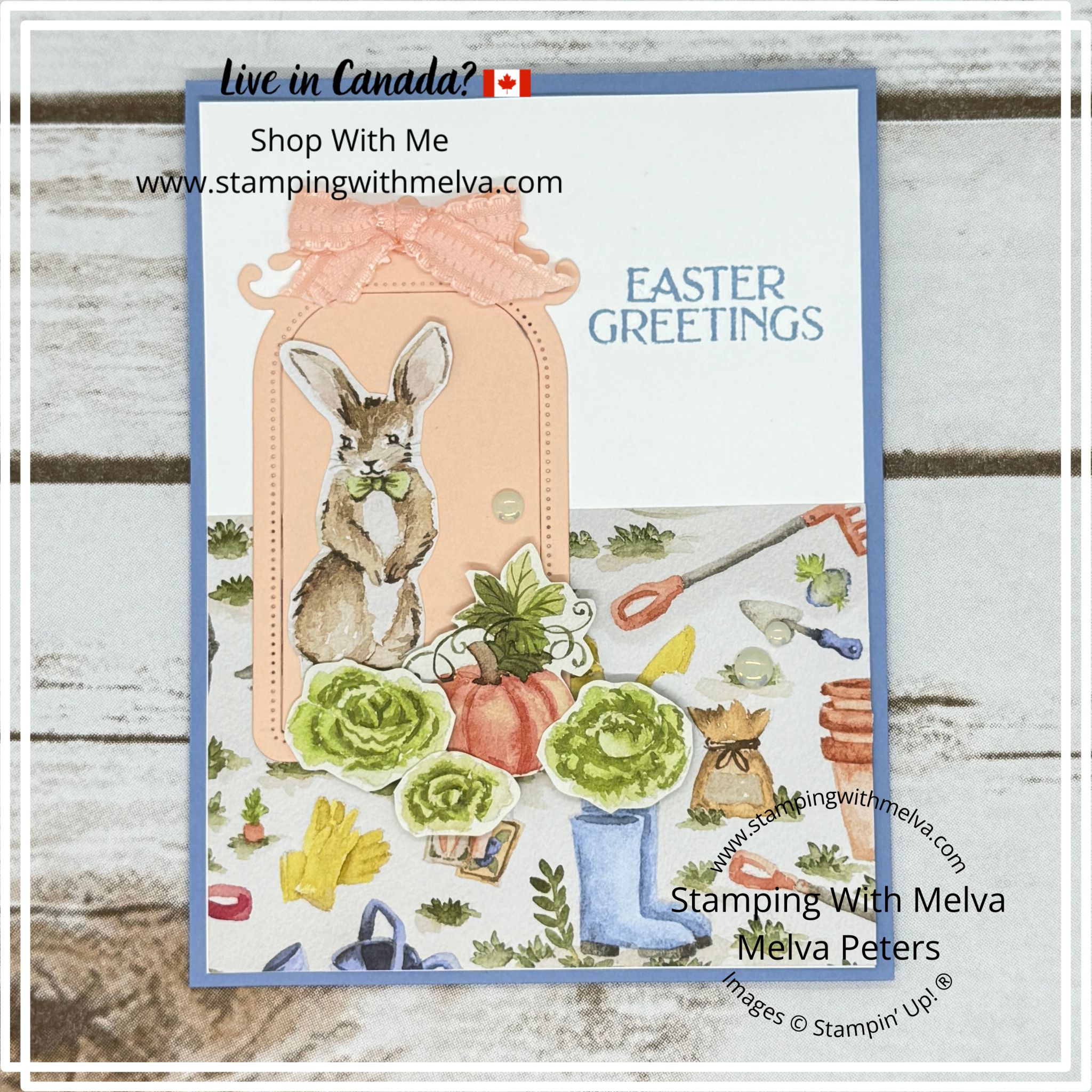 Stampin  up  storybook friends   stamping with melva  2 
