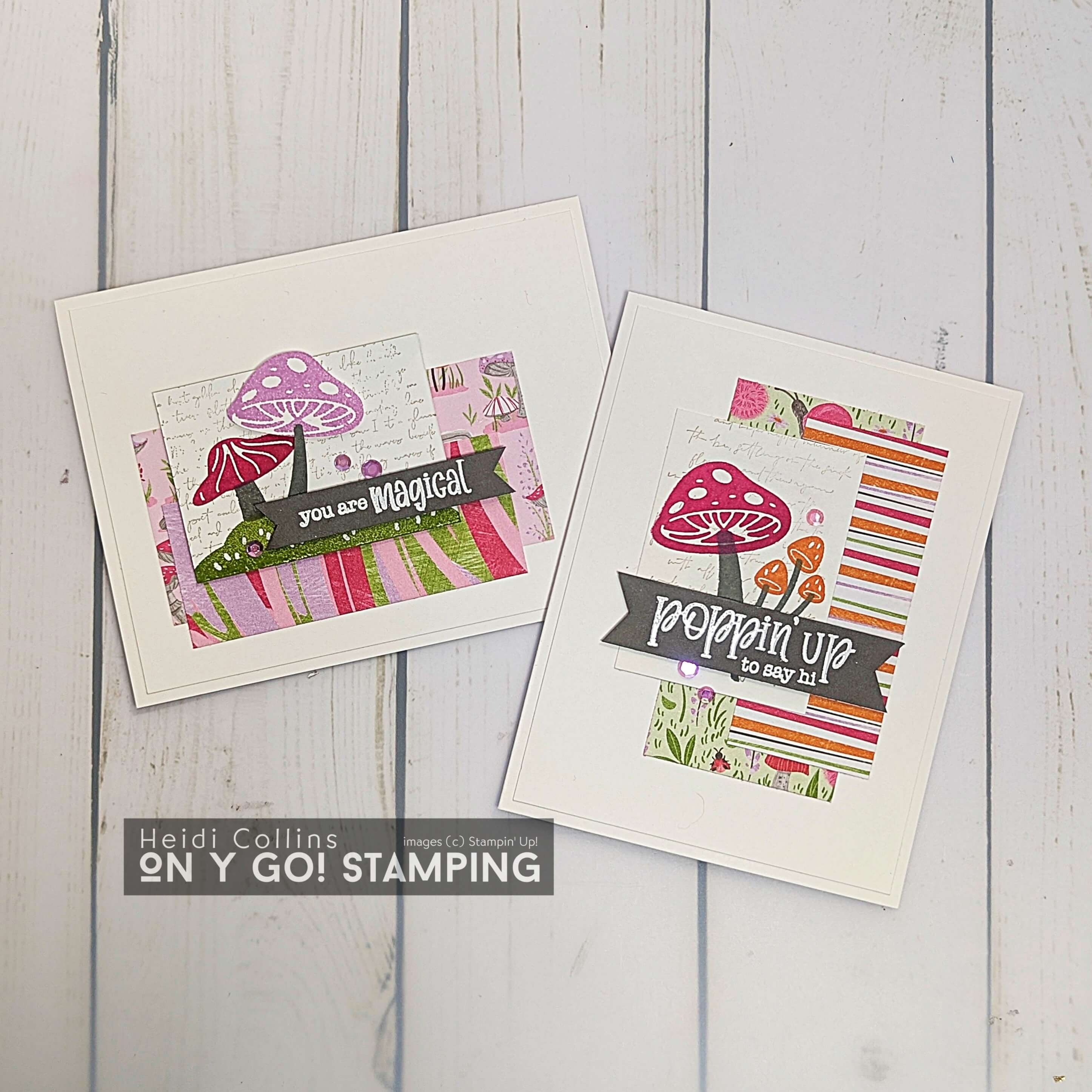 Toadstool gardens group