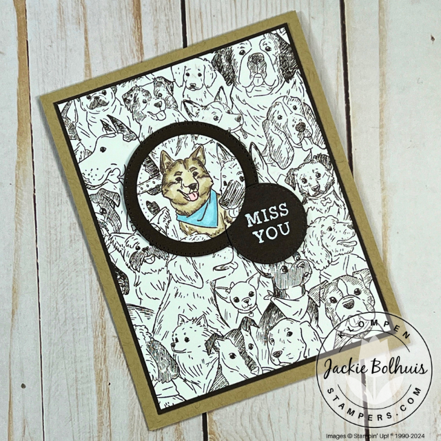 Cm201 spotlighting card1