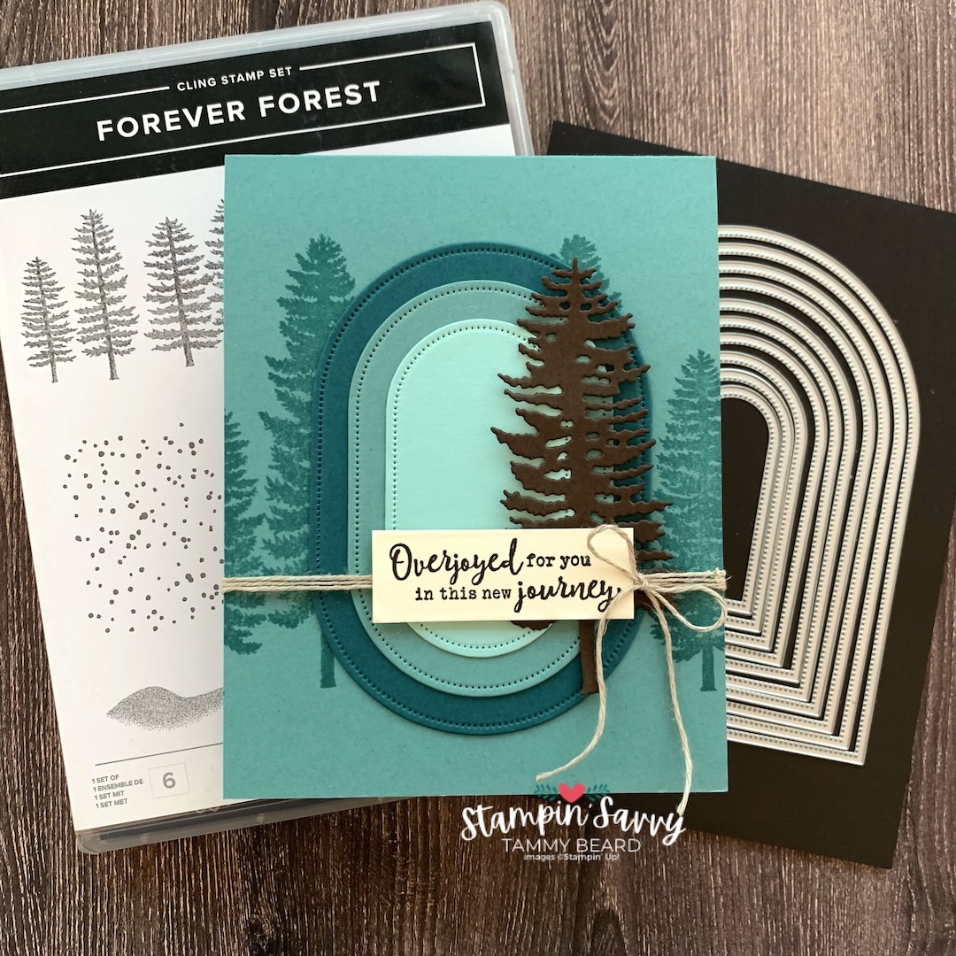 Everyday arches into ovals masculine card idea by tammy beard for stampinsavvy.com
