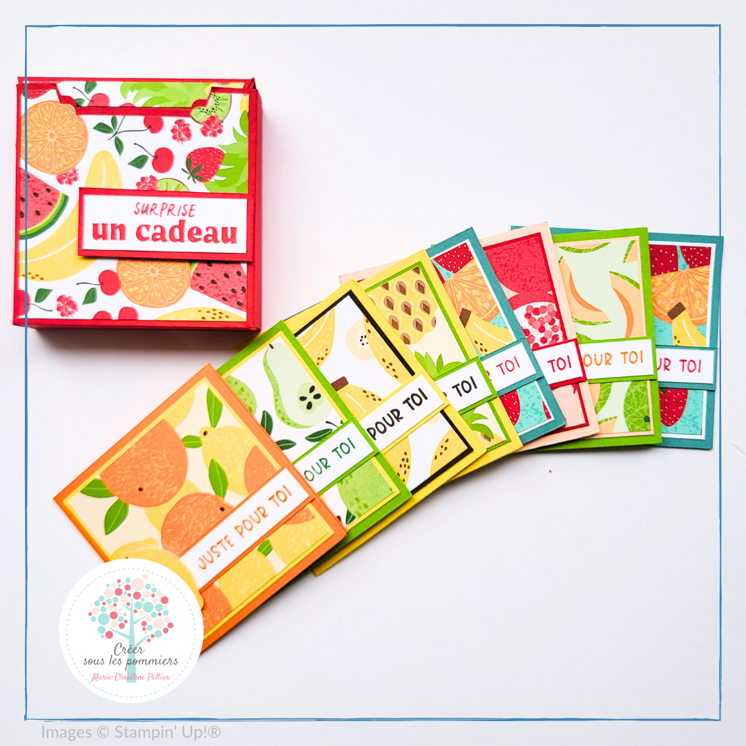 Boite multi cartes