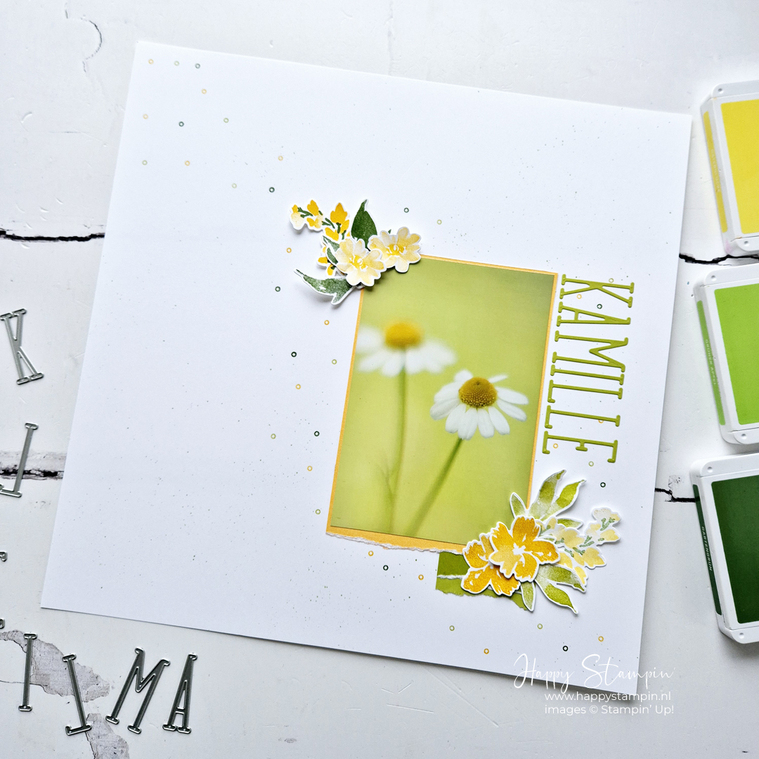 Stampin up   happy stampin   fancy friday   kamille 1