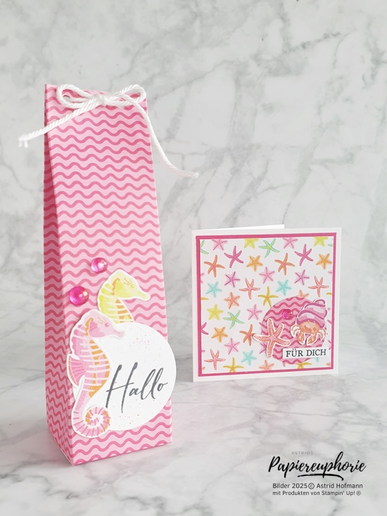 Stampinup stampinfirst knallig bunt ozeanisch 3 astridspapiereuphorie 202504