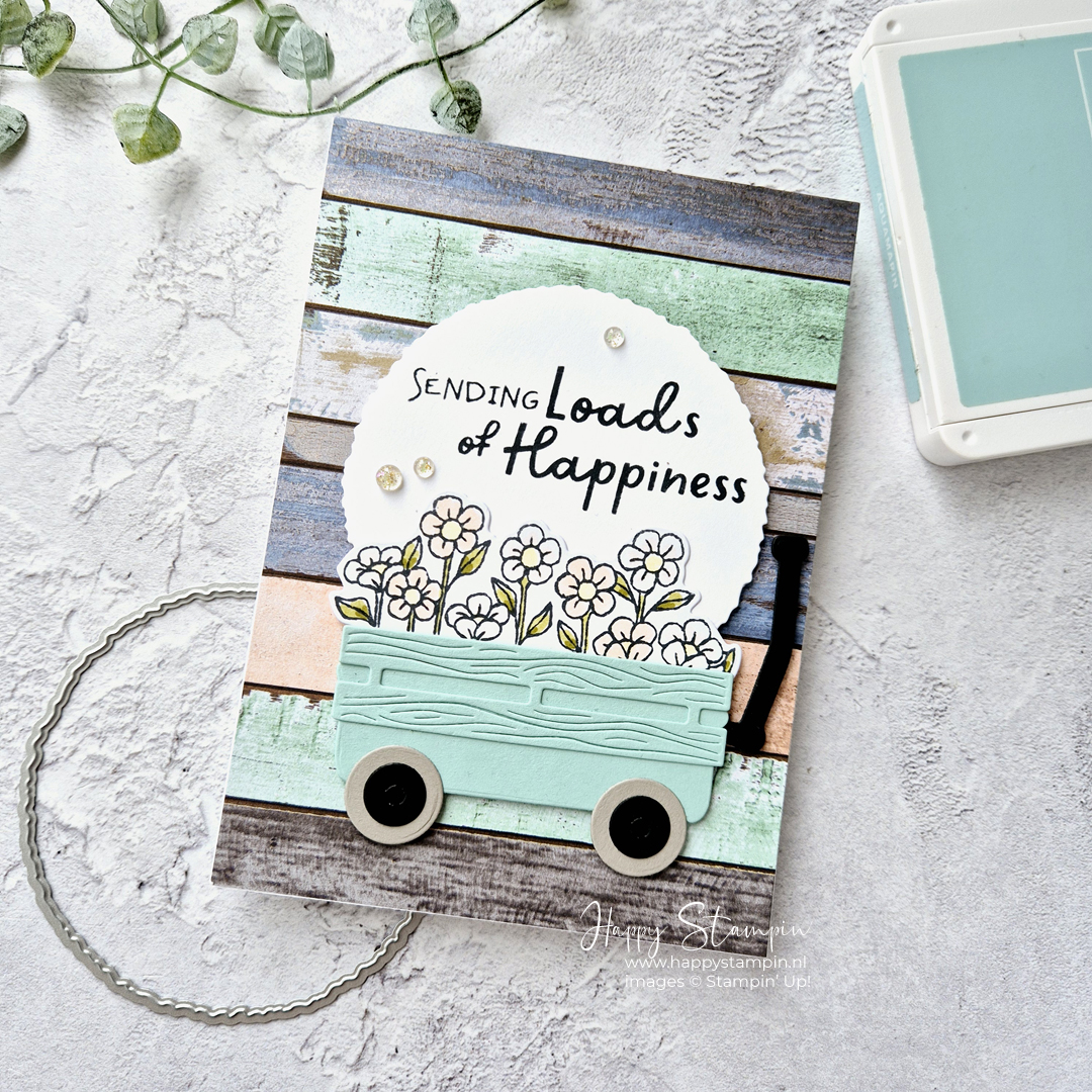 Stampin up   happy stampin   inspiratie en verkoop   filled iwth fun 1