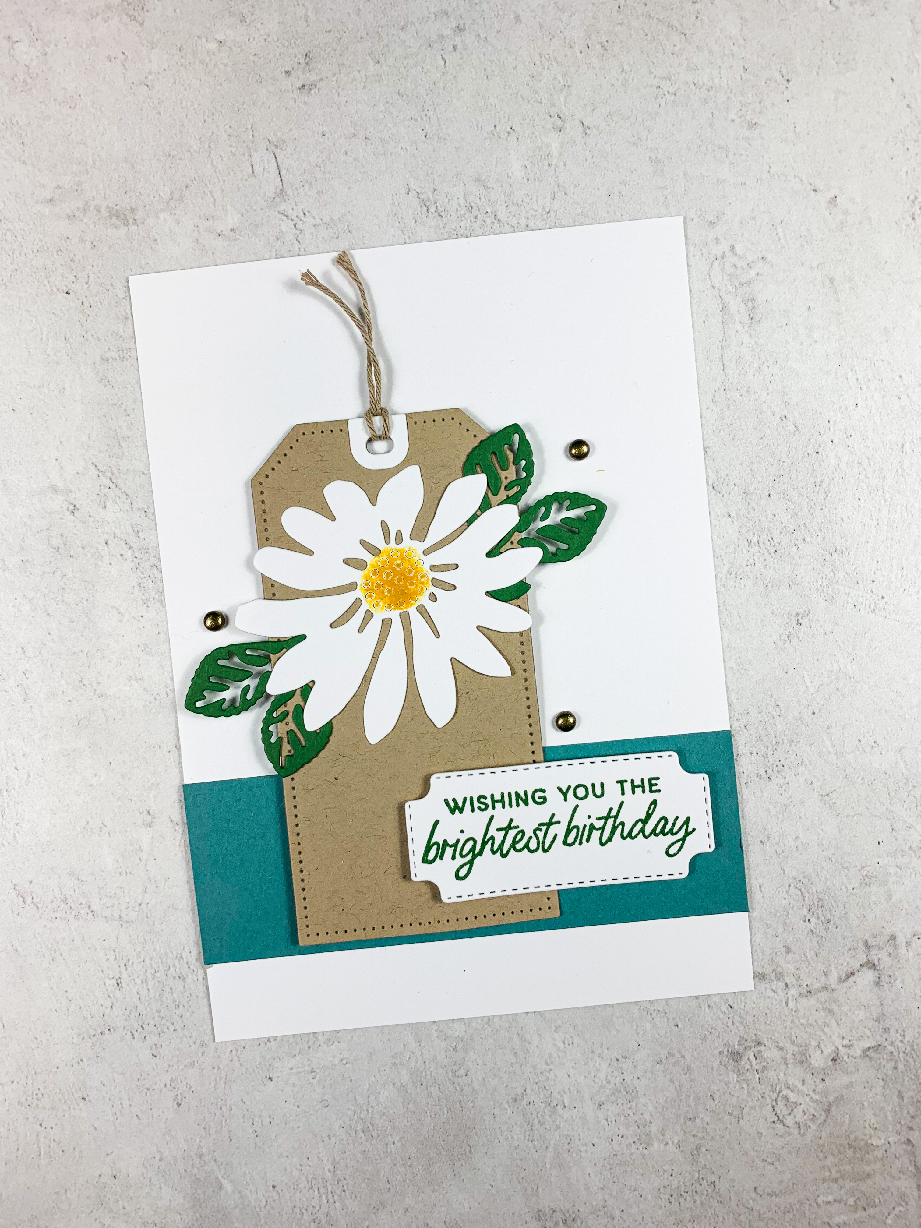 Cheerful daisies  2 