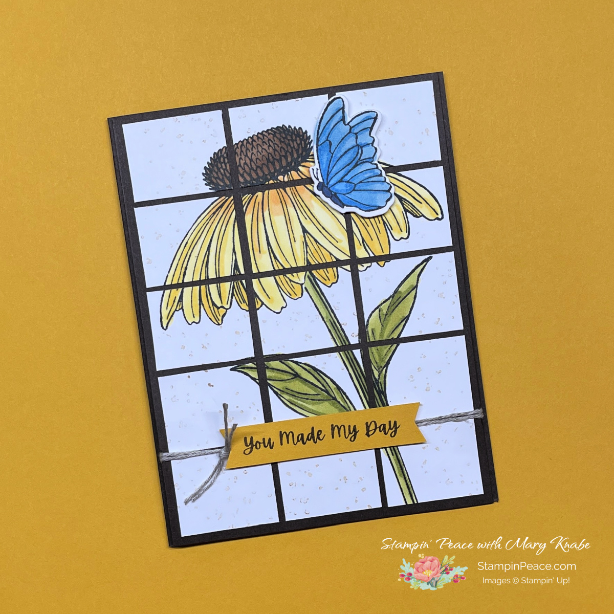 Stampin  up  coneflower celebrations   mary knabe